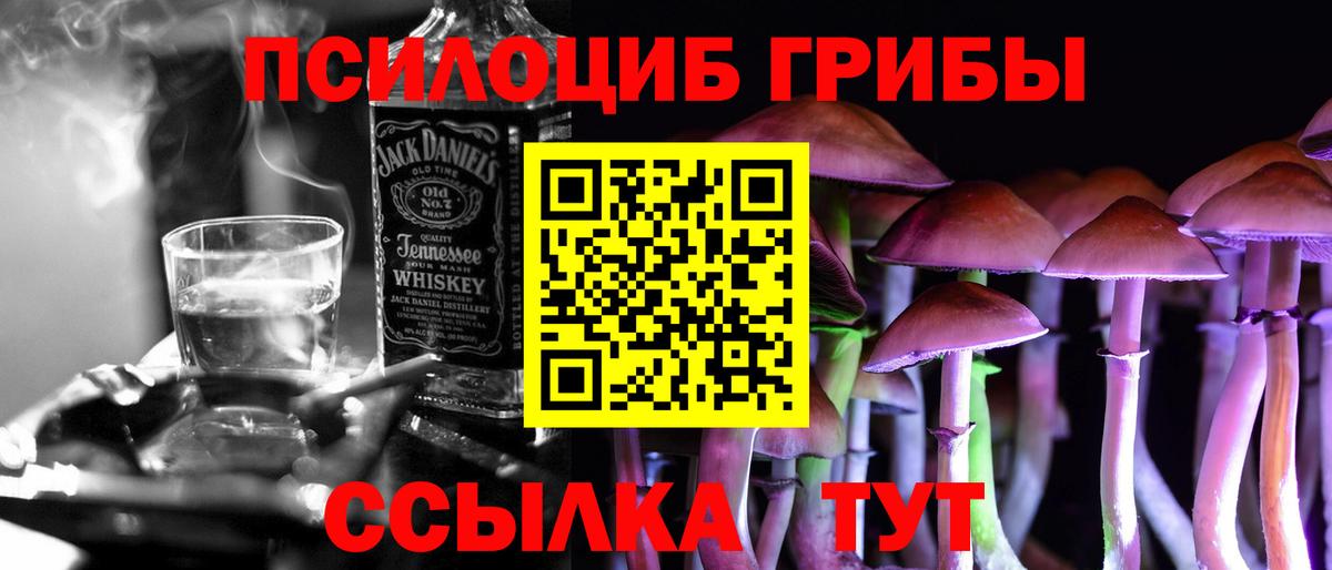 Галлюциногенные грибы Psilocybine cubensis  Вход с VPN  Ликино-Дулёво 